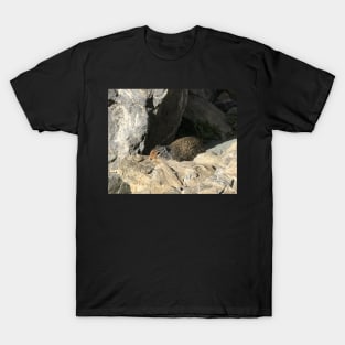 Ground Squirrel T-Shirt